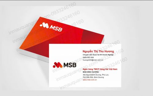 MẪU CARD VISIT NGÂN HÀNG MSB ĐẸP