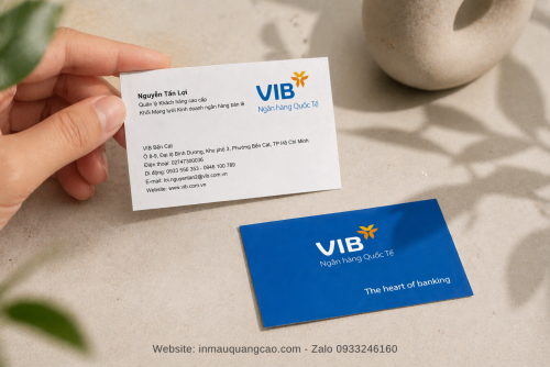 MẪU CARD VISIT NGÂN HÀNG VIBANK